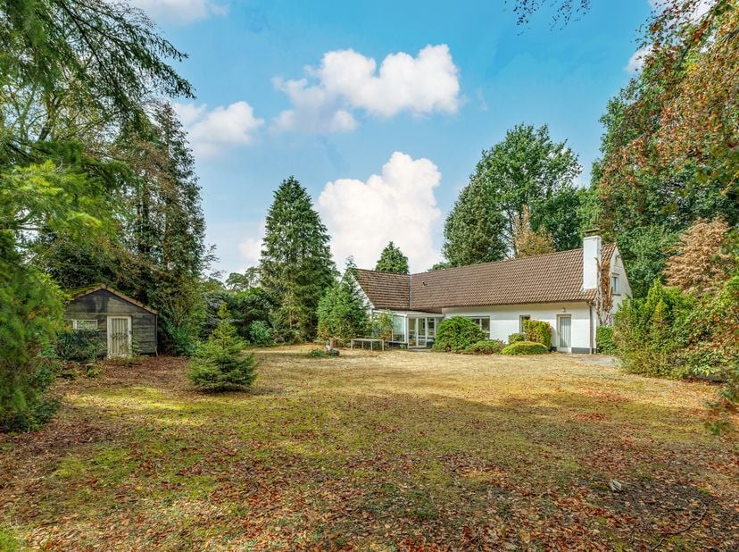 Maison à vendre à Wilgenlaan 10,
                    2390 Westmalle