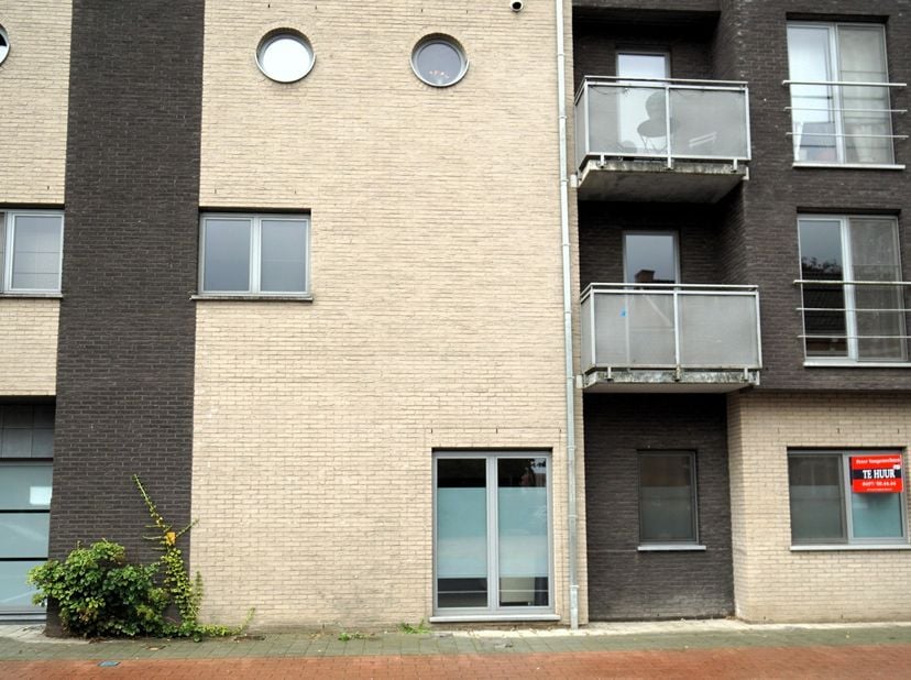 Appartement à louer
                    à 2430 Vorst