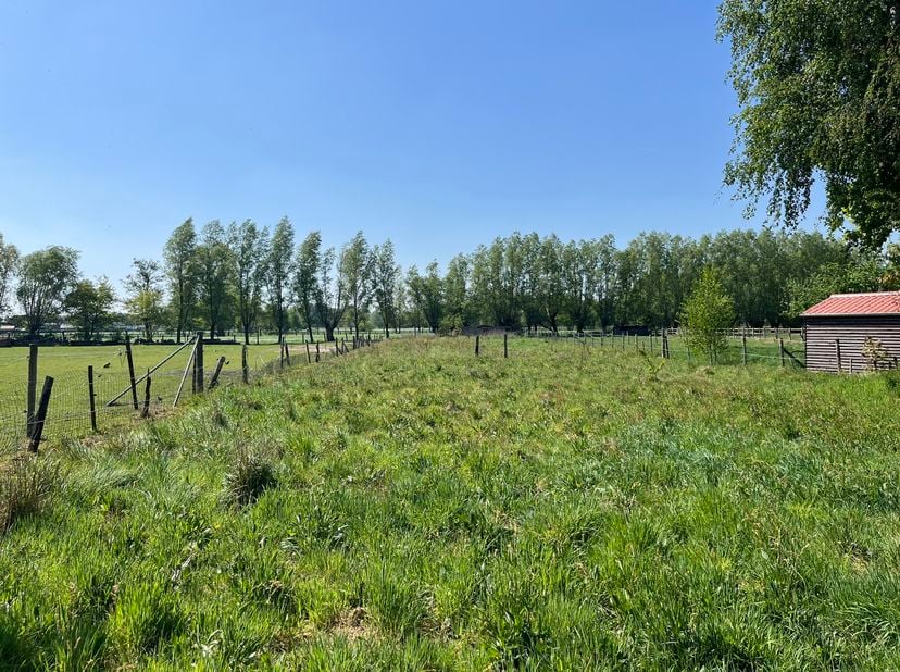 Terrain à vendre à Kleine Bogaardestraat 2F,
                    9990 Maldegem