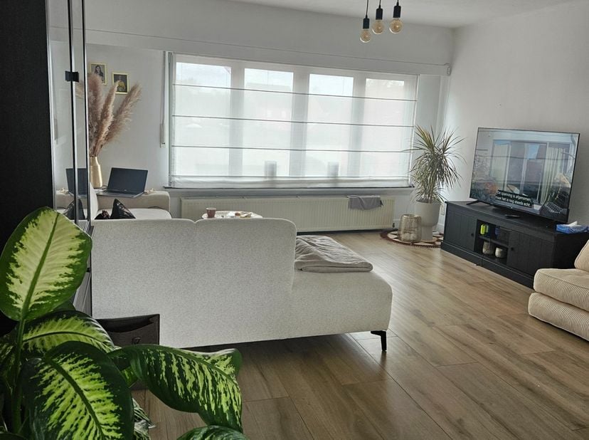 Appartement à louer
                    à 2980 Zoersel