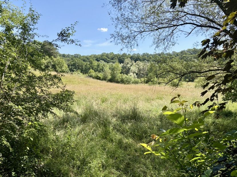 HOMBOURG (PLOMBIERES) Chemin de Gensterhof (lot B): midden in het groen, in een uitzonderlijk rustige en landelijke omgeving, bevindt zich dit prachti