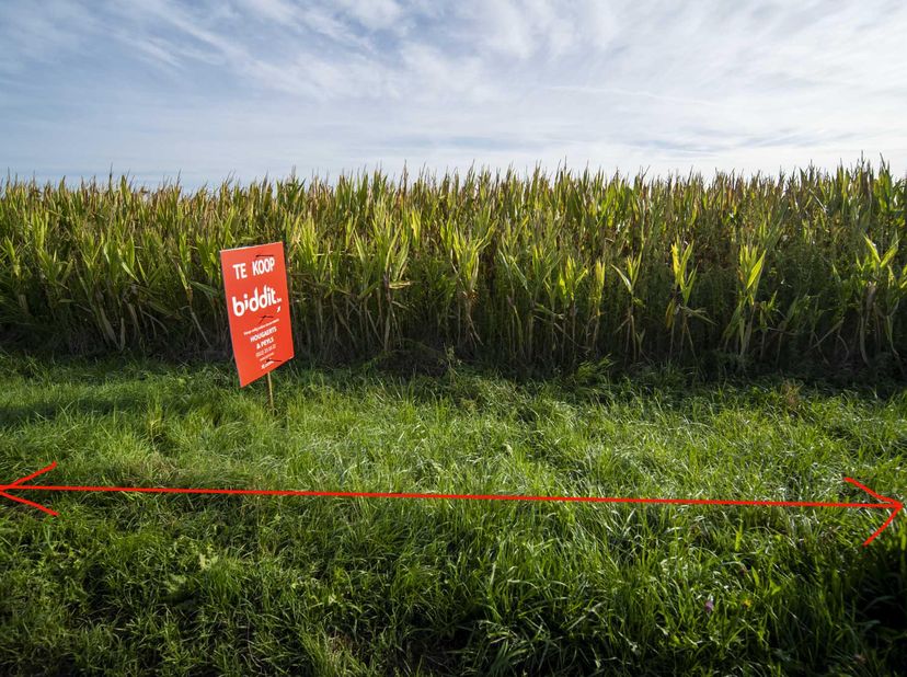 Grond te koop in Russelt,
                    3830 Wellen