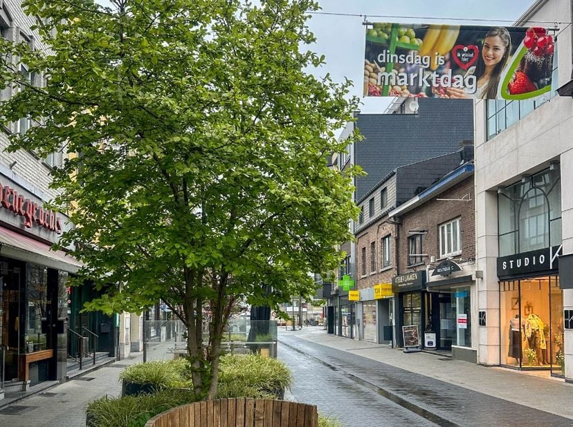 Bedrijfsvastgoed te koop in Stationsstraat 5,
                    3620 Lanaken