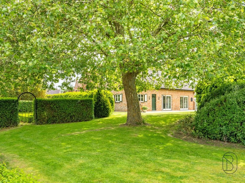 Charmante woning met groot bijgebouw (atelier) en 2 garages, op 5737m2, zeer goed gelegen qua bereikbaarheid, doch genietend van prachtige zichten ron