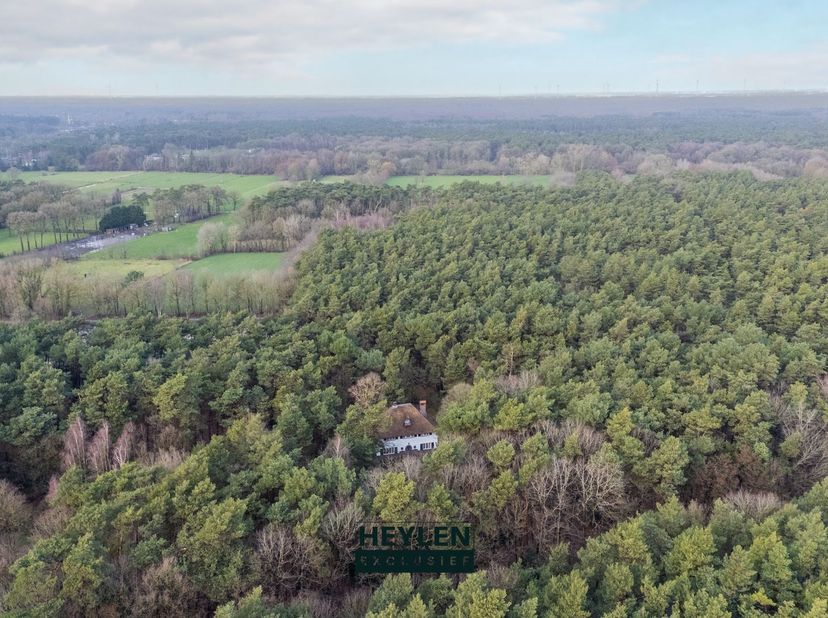 Unieke, landelijke villa op een prachtig perceel van 2ha 52a 69ca te Lichtaart / Kasterlee<br />
<br />
<br />
<br />
Ligging:<br />
 Rustig en bosr