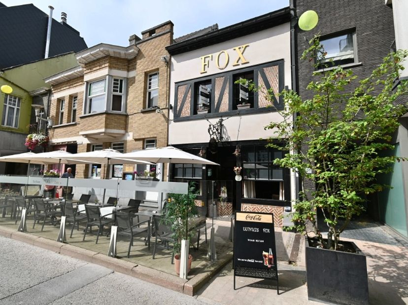 Bien professionnel à vendre
                    à 9800 Deinze