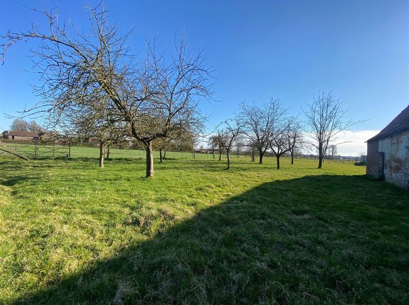 Prachtige bouwkavel van +/- 11 are 60 centiares inclusief een oud af te breken gebouw.<br />
Ideale ligging op 5 minuten van Péruwelz, Leuze-en-Hainau