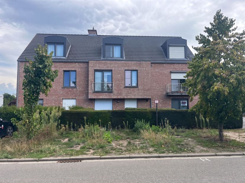 Appartement te huur in Sportlaan 2 bus 1,
                    2450 Meerhout