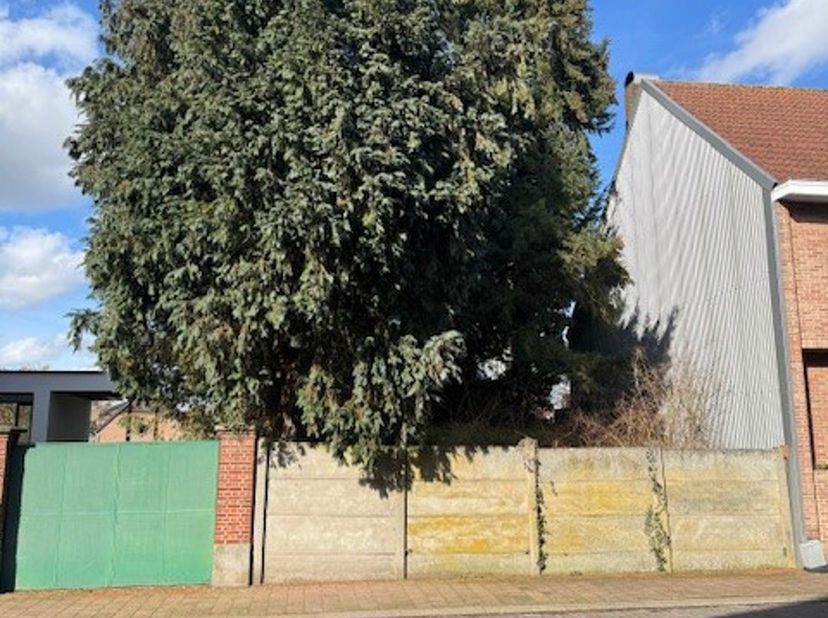 Grond te koop in Kerkstraat 31+,
                    2350 Vosselaar