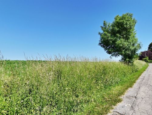                                         Bouwgrond te koop in Vezin, € 550.000
