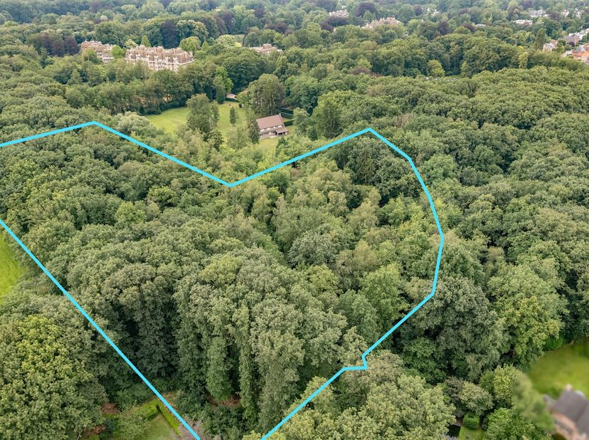Uitzonderlijk perceel bosgrond van ca. 27.029 m² op toplocatie in Kapellen<br />
Aan het einde van de doodlopende Prinsendreef, rechts van huisnummer