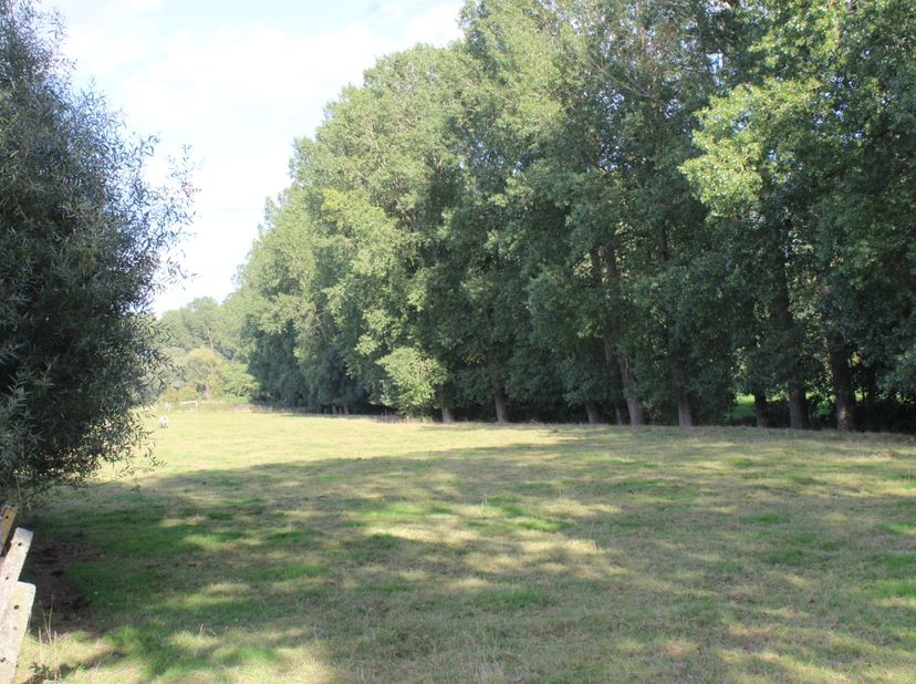 Grond te koop in neckebroekveld 1,
                    9620 Grotenberge