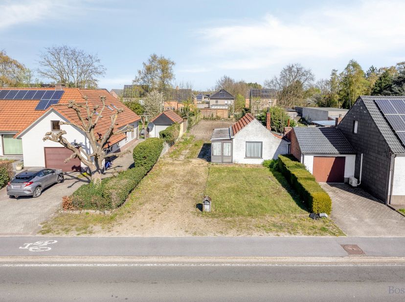 Terrain à vendre
                    à 2490 Balen