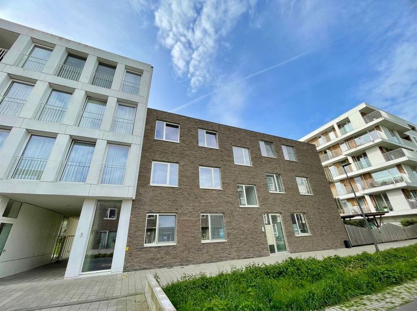 Ligging: Dit charmante appartement is ideaal gelegen in de rustige en groene omgeving van de Ganzedries in Hoboken. Je woont hier op een steenworp van