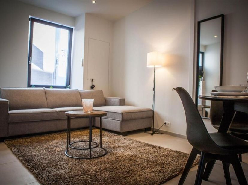 En 2022, cette maison proche du Vismarkt et de la Dijle, a été rénovée, avec notamment de nouvelles fenêtres en PVC, avec triple vitrage. Elle a égale