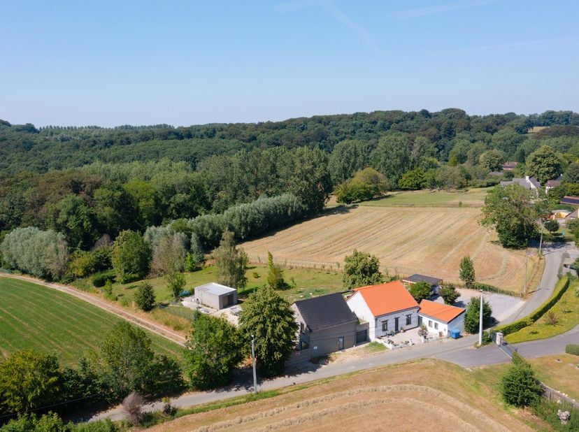 Maison à vendre
                    à 9600 Renaix