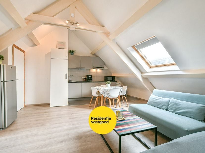 Op wandelafstand van het strand en de duinen bevindt zich dit charmante dakappartement in een karaktervol gebouw uit 1933, volledig gerenoveerd in 201