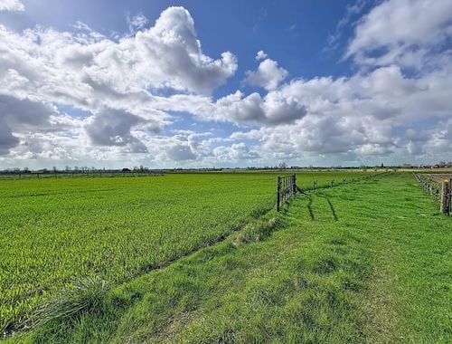                                         Terrain agricole à vendre à Merkem, € 526.000
