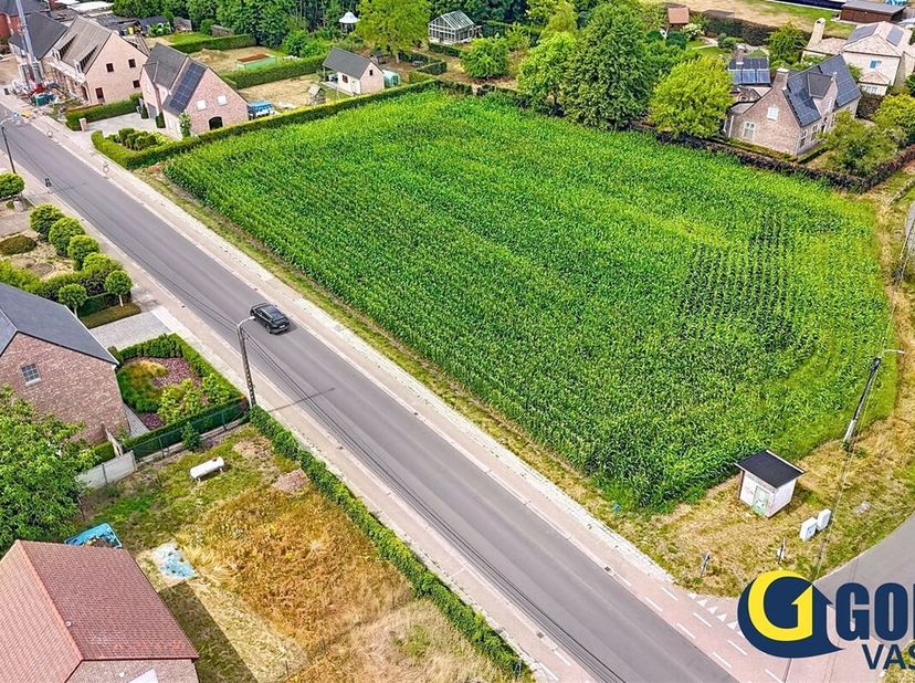 Terrain à vendre
                    à 2221 Booischot
