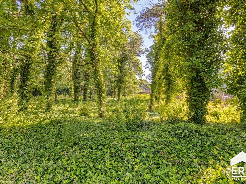 Terrain à vendre
                    à 3920 Lommel