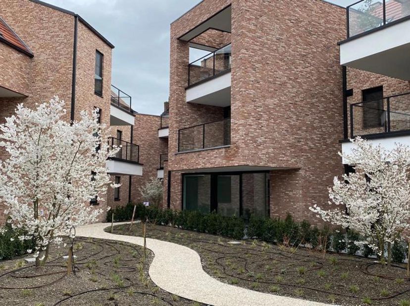 Appartement à louer à Beekstraat 5 boîte 6,
                    3440 Zoutleeuw