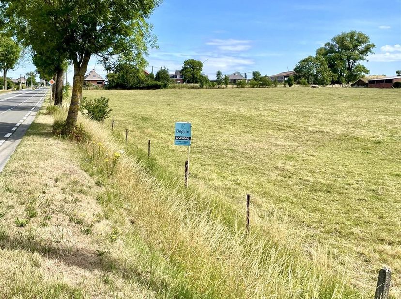 GOEDGELEGEN PROJECTGROND (1ha47a60ca) te Ghislenghien (ATH). VEEL POTENTIEEL, mogelijk te verkavelen. STRAATBREEDTE 175m! Geeft uit in 2 straten. Geen