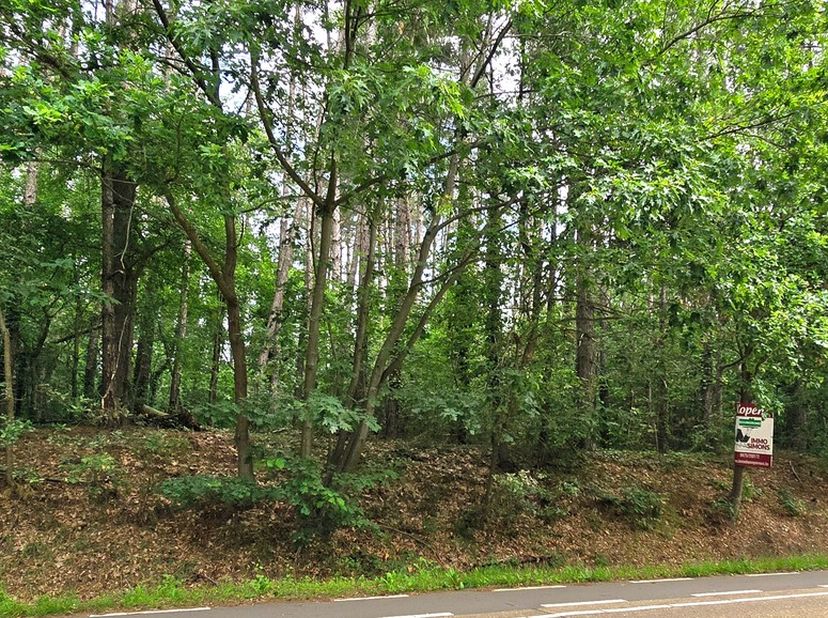 Terrain à vendre
                    à 3560 Lummen