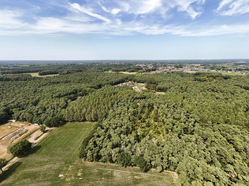 Grond te koop in Sassenhout,
                    2290 Vorselaar