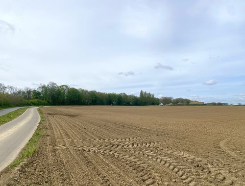                                         Landbouwgrond te koop in Bertem, € 240.000
