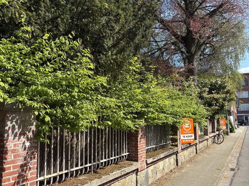 In centrum Hamme kan u deze prachtige bouwgrond (Lot 1 van 2 loten) terug vinden. Een mooie groene en rustig gelegen grond met een ruime straatbreedte