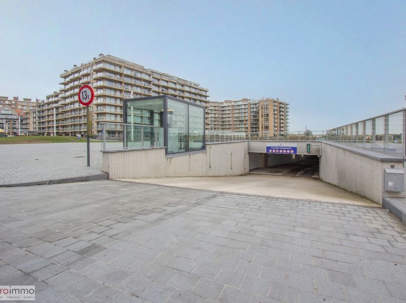 Ce garage signifie la fin de vos problèmes de stationnement et de stockage. Avec une largeur de pas moins de 3m45, vous pouvez facilement entrer et so
