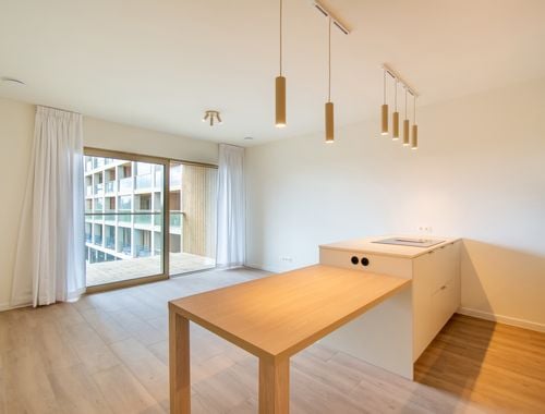                                         Appartement à louer à Antwerpen, € 1.250
