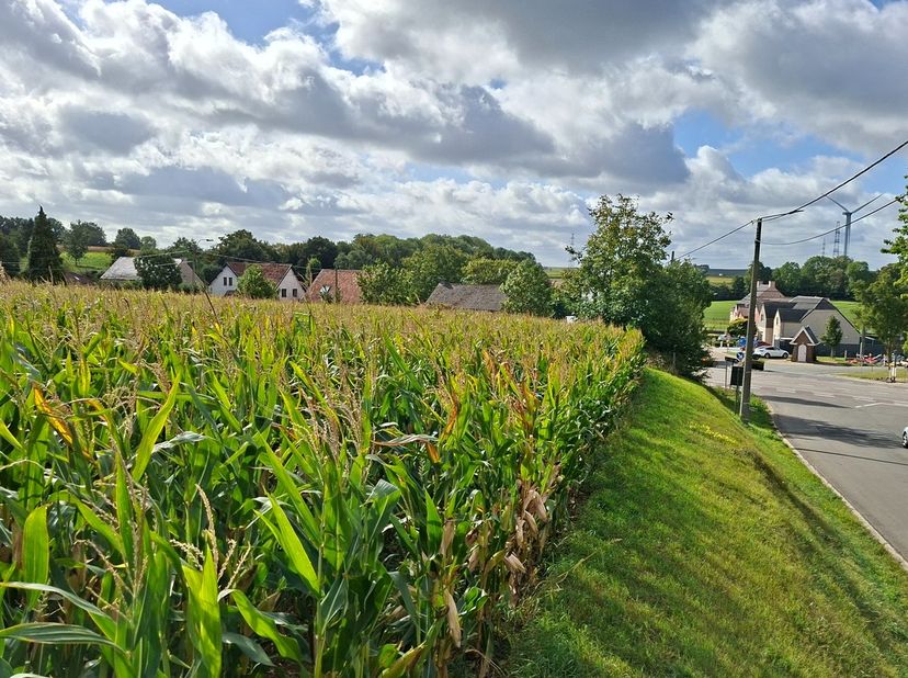 Terrain à vendre
                    à 3770 Riemst