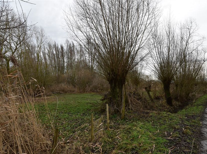 Bent u op zoek naar een rustig gelegen stukje natuur waar u volledig tot rust kunt komen? Dan is dit mooie perceel bosgrond in het landelijke Appels p