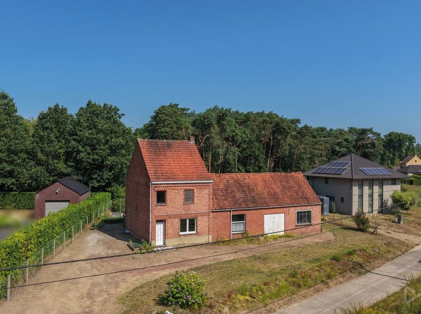 Celui qui recherche de l'espace, de la tranquillité et la liberté de faire les choses à sa façon trouvera une opportunité exceptionnelle au Molenheide