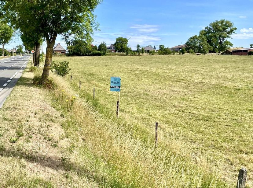 GOEDGELEGEN PROJECTGROND (1ha47a60ca) te Ghislenghien (ATH). VEEL POTENTIEEL, mogelijk te verkavelen. STRAATBREEDTE 175m! Geeft uit in 2 straten. Geen