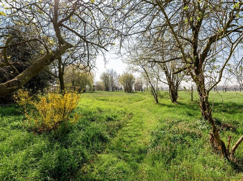 Bouwgrond op perceel van 1502 m²<br />
Ligging<br />
Deze bouwgrond met een breedte van 20m aan de straatzijde op een perceel van 1502m², biedt een gu