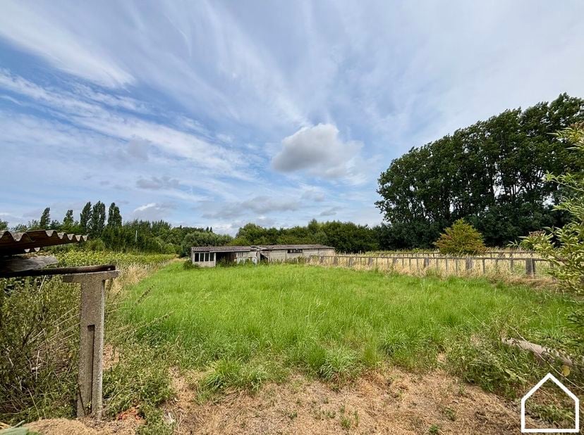 Deze te renoveren woning in Ieper biedt met zijn 5SLPSK, loods, garage en grote tuin een grote opportuniteit om hier iets tofs van te maken!<br />
<br