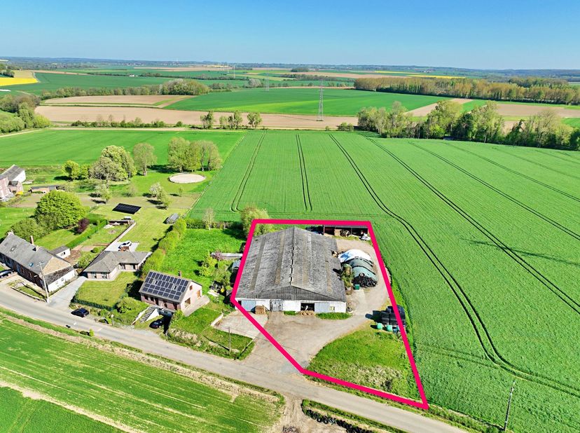 Hangar érigé sur un terrain de 33 ares 46 situé à Mertenne.  <br />
La superficie bâtie est de +/-1.150m2.<br />
<br />
Raccordements électrique et