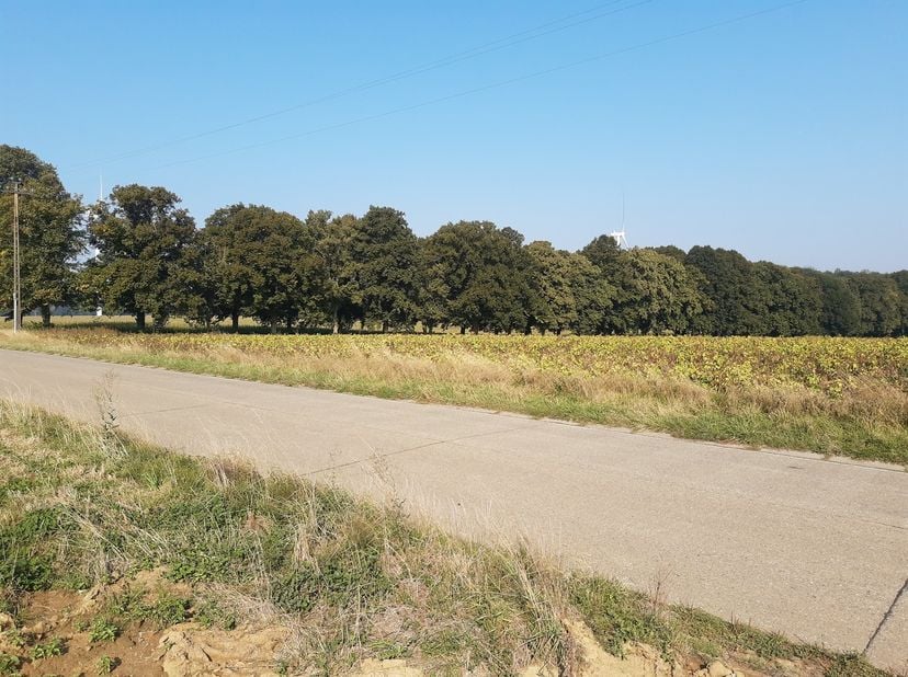 Ce magnifique terrain offre de belles possibilités constructives avec une largeur à front de rue de 23.5 m sur une profondeur de 42.45 m. Les vues tan
