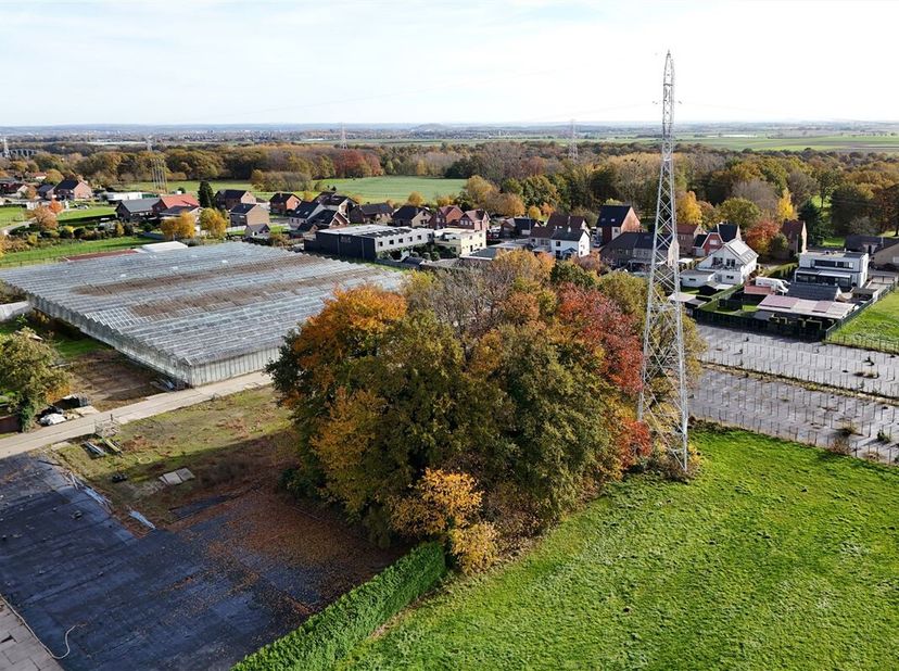Prachtig bosperceel van 11a40ca in rustige en groene omgeving <br />
Omgeving:<br />
+ Landelijke en rustige omgeving met vlotte bereikbaarheid<br />