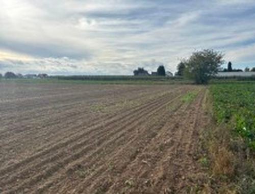                                         Grond te koop in Wilderen, € 8.000
