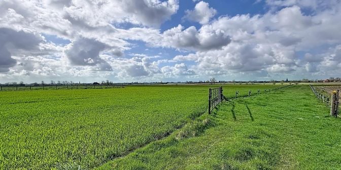 Grond te koop in Groenestraat 22, 8650 Merkem