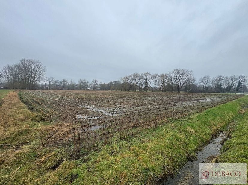 Goed gelegen landbouwgrond met opp van 12.630m² te Putte! <br />
Deze landbouwgrond is vrij van pacht! <br />
De landbouwgrond is makkelijk te bereike