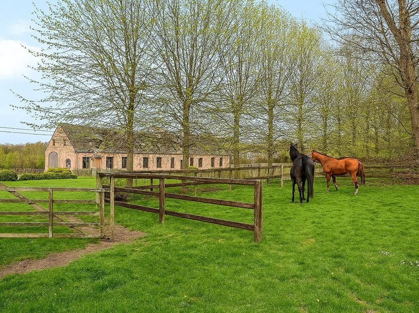 Hof ter Beeldeken - Domein Grote Spaandervoorthoeve anno1607 met oppervlakte van 34.061m² en uitbreiding mogelijk<br />
Exclusieve villa aan het Vries