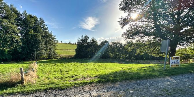 Terrain à vendre à Rue Cresse des Nutons en face 49, 6687 Bertogne