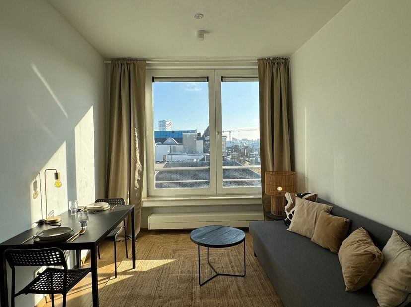 Gezellig, gemeubeld appartement met 1 slaapkamer in hartje Antwerpen!<br />
Dit volledig gemeubeld appartement vindt haar ligging in de Huidevettersst