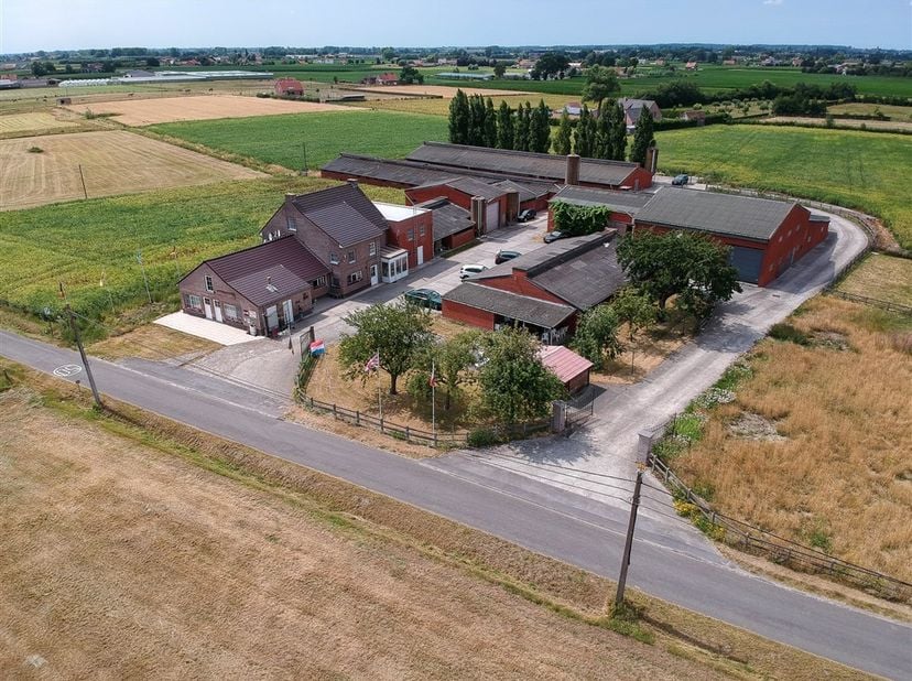 Deze bloeiende B&amp;amp;B Breeden Steeger hoeve is gelegen in het landelijke Lichtervelde. De locatie is subliem: tussen de velden en toch dichtbij centr