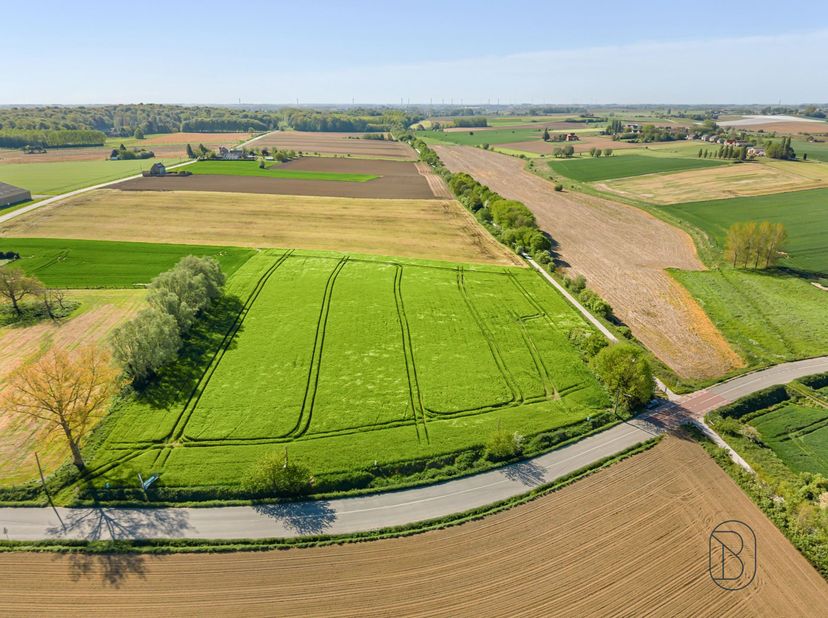 Bouwgrond van ± 6.100 m² in het hart van het Pays des Collines<br />
<br />
Gelegen in Moustier, in de gemeente Frasnes-lez-Anvaing, biedt deze zeld