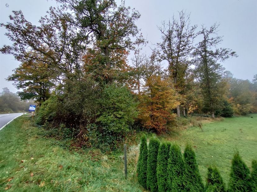 À VENDRE : Terrain en zone de loisirs 6997 Biron, rue Terre-Telle<br />
Prix : 120.000 €<br />
Découvrez ce terrain unique de ± 2500 m² ,zone de loi